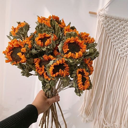 10pcs Artificial Dried Sunflower Head, Modern Simulation Flower Head For Home Decor