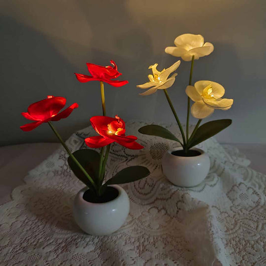 Phalaenopsis LED Lamp