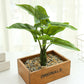 (2 PCS) 25cm 8 Leaves Artificial Monstera Tropical Jungle Palm Plants Desktop Bonsai - Veooy