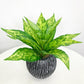 (2 PCS) 36cm 3 Heads Tropical Palm Tree Artificial Bamboo Plants Fake - Veooy
