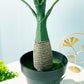 (2 PCS) 40cm 8 Leaves Artificial Banana Tree Desktop Bonsai Tropical Palm Plants