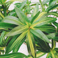 (2 PCS) 50cm Tropical Palm Tree Artificial Plants Branch Bonsai Plants Silk Green - Veooy
