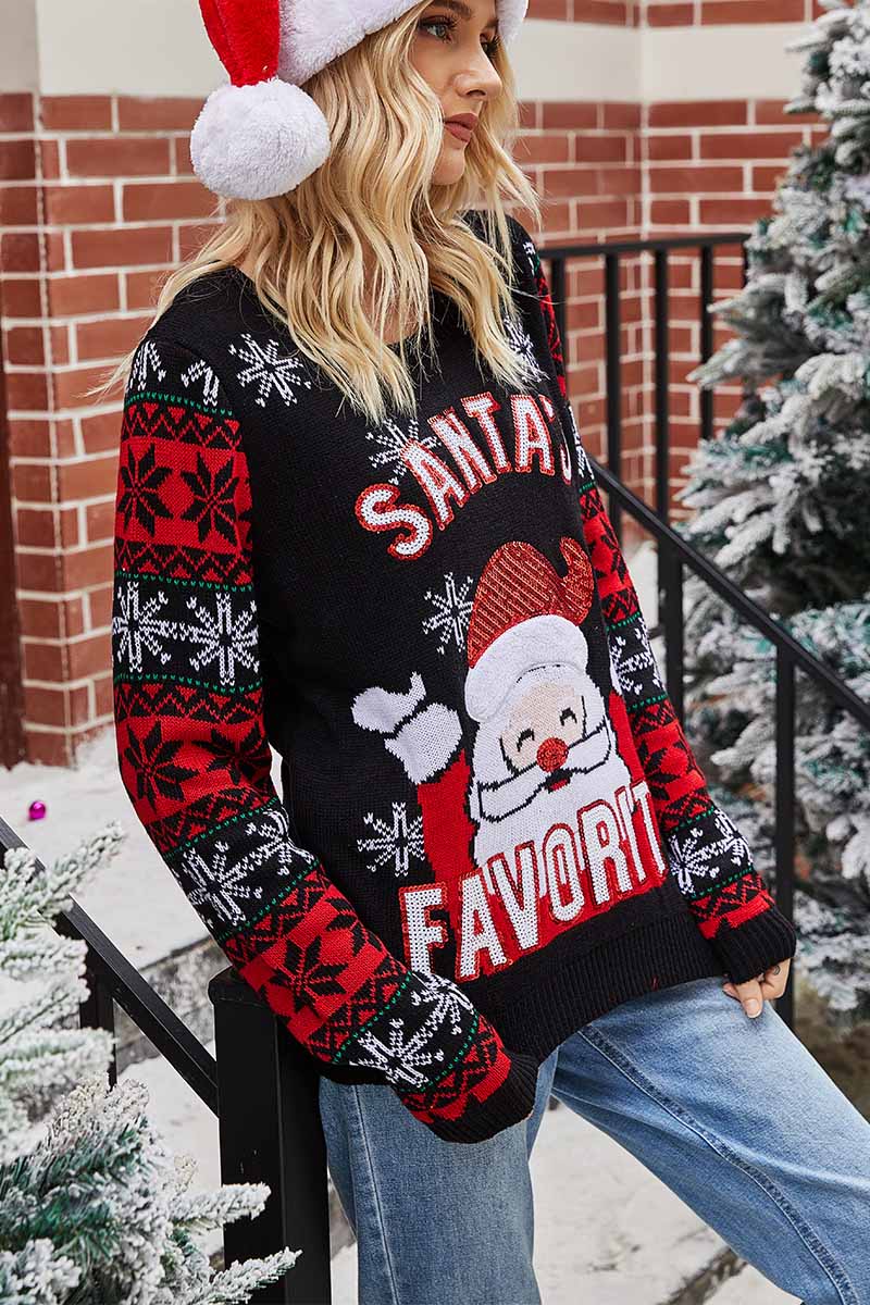 Santa Embroidered Round Neck Knitted Sweater 💖