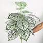 (2 PCS) 70cm 18 Heads Tropical Monstera Large Artificial Tree Branch Plastic - Veooy