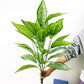 (2 PCS) 75cm 26Leaves Large Artificial Palm Plants Tropical Monstera Tree - Veooy