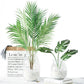 (2 PCS) 80cm-125cm Large Palm Tree Artificial Plants Branch Green Leaves Plastic - Veooy