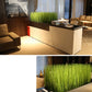 (2 PCS) 81cm 10pcs Artificial Reed Grass Large Fake Onion Grass False Green Plants - Veooy