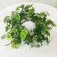 1pc Artificial Clover Wreath , St. Patrick's Day Plastic Simulation Greenery Leaf Garland Fake Flowers Decoration, For Home Room Wall Door Windows