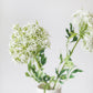 Artificial Queen Anne's Lace Wildflowers in White - 31" - Veooy