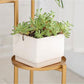 Henley - Three Level Modern Nordic Planter Display Stand - Veooy