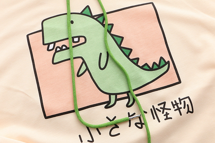 INS style loose dinosaur hoodie t-shirt #PR932