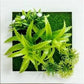 Paityn - Artificial Plant 3D Box Planter
