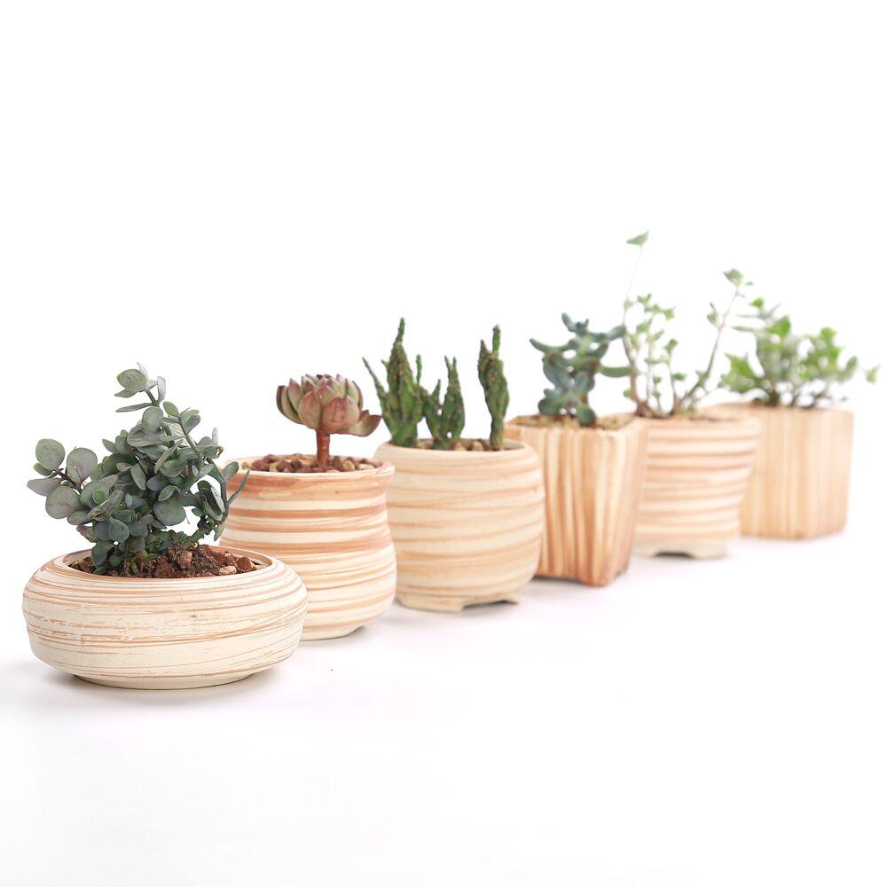 Set of 6 Ceramic Wooden Pattern Flower Planter