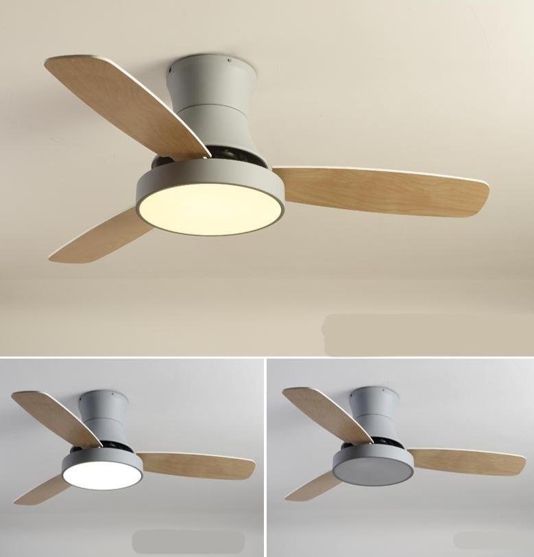 Timothy - Modern Ceiling Fan