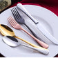 Astor - Stainless Steel Cutlery Set - Veooy