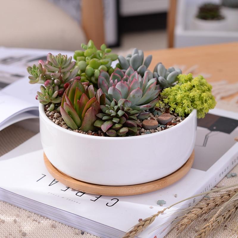 Bahari - Porcelain Round Desktop Succulent Planter - Veooy
