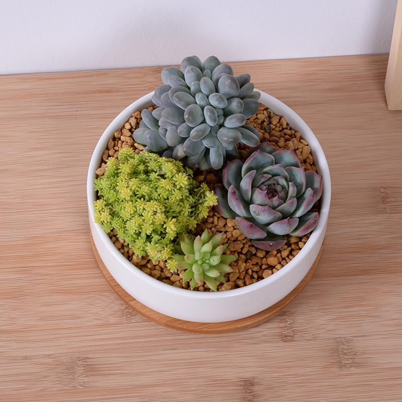 Bahari - Porcelain Round Desktop Succulent Planter - Veooy