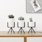 3 Set Ceramic Flower Planters with Modern Stand - Veooy