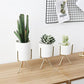 3 Set Ceramic Flower Planters with Modern Stand - Veooy