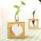 Dahk - Wooden Bonsai Planter - Veooy