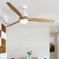 Modern Nordic Ceiling Fan with LED Light