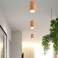 Dru - Modern Nordic LED Ceiling Lights - Veooy