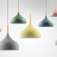 Aether - Matte Finish Macaroon Hanging Lamp - Veooy