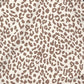 Women's Shift Dress Short Mini Dress Long Sleeve Leopard Lace up Patchwork Print Fall Winter Off Shoulder Plus Size Sexy Loose Gray S M L XL XXL 3XL-0222824